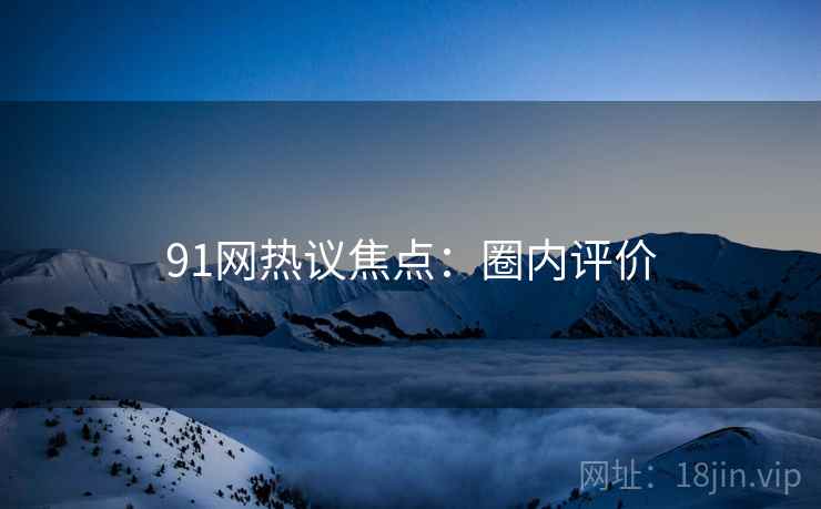 91网热议焦点:圈内评价 91网热议焦点:圈内评价