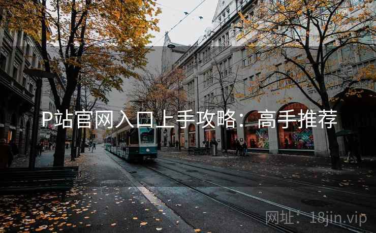 P站官网入口上手攻略：高手推荐