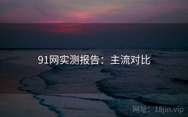 91网实测报告:主流对比 91网实测报告:主流对比