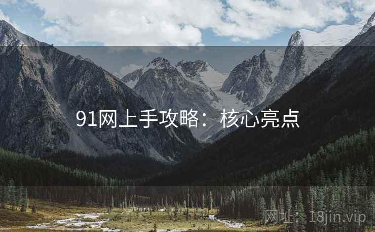 91网上手攻略：核心亮点