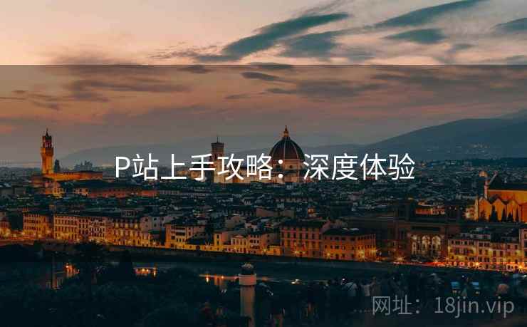 P站上手攻略:深度体验 P站上手攻略:深度体验