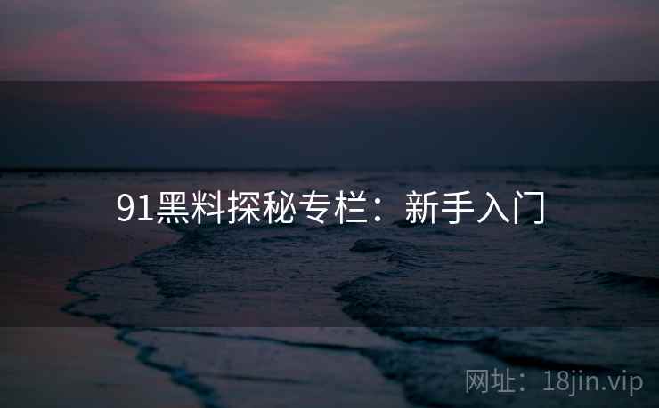 91黑料探秘专栏：新手入门